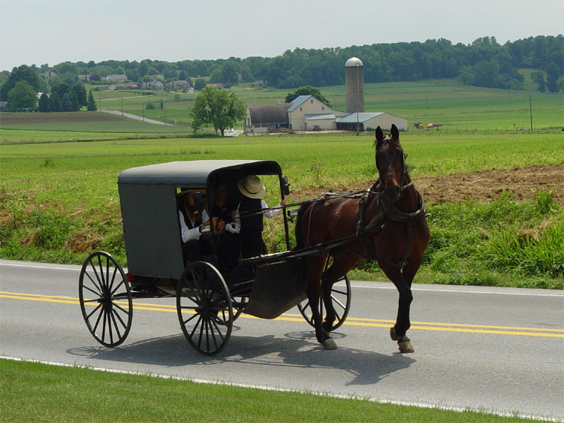 Les Amish !   suite à la conférence.